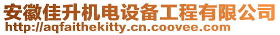 安徽佳升機電設備工程有限公司