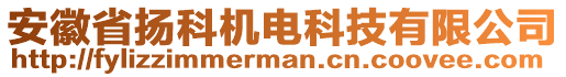 安徽省揚(yáng)科機(jī)電科技有限公司