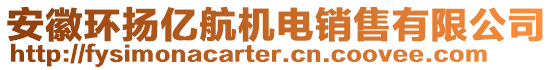 安徽環(huán)揚(yáng)億航機(jī)電銷售有限公司