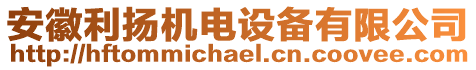 安徽利揚機電設備有限公司