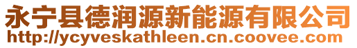 永寧縣德潤源新能源有限公司