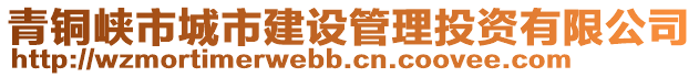 青铜峡市城市建设管理投资有限公司