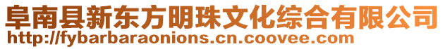 阜南县新东方明珠文化综合有限公司