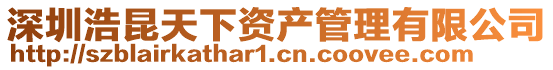 深圳浩昆天下資產管理有限公司