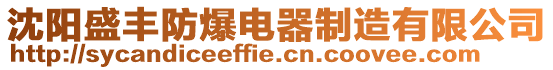 沈陽盛豐防爆電器制造有限公司