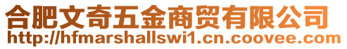 合肥文奇五金商貿有限公司