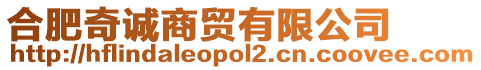 合肥奇誠商貿有限公司