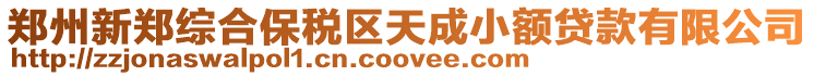 鄭州新鄭綜合保稅區(qū)天成小額貸款有限公司