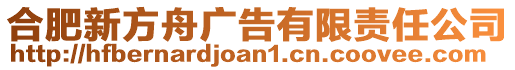 合肥新方舟廣告有限責(zé)任公司