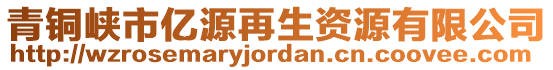 青銅峽市億源再生資源有限公司