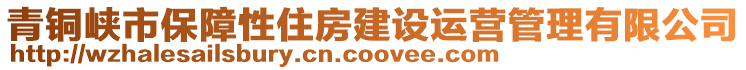 青銅峽市保障性住房建設運營管理有限公司