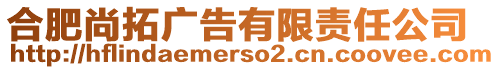 合肥尚拓廣告有限責(zé)任公司