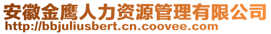 安徽金鷹人力資源管理有限公司