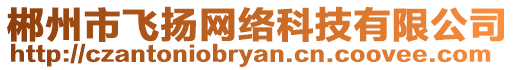 郴州市飛揚(yáng)網(wǎng)絡(luò)科技有限公司