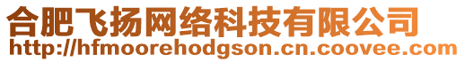 合肥飛揚(yáng)網(wǎng)絡(luò)科技有限公司