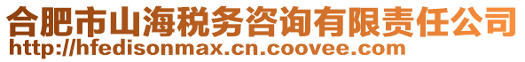 合肥市山海稅務(wù)咨詢有限責(zé)任公司