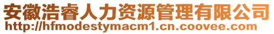 安徽浩睿人力資源管理有限公司