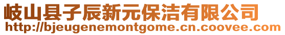 岐山縣子辰新元保潔有限公司