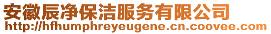 安徽辰凈保潔服務(wù)有限公司