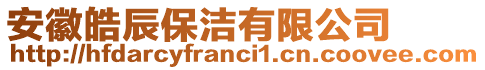 安徽皓辰保潔有限公司