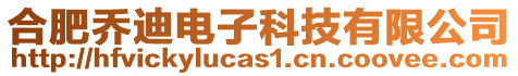 合肥喬迪電子科技有限公司