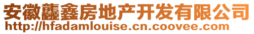 安徽龘鑫房地產(chǎn)開(kāi)發(fā)有限公司