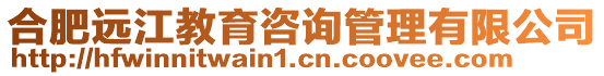 合肥遠(yuǎn)江教育咨詢管理有限公司