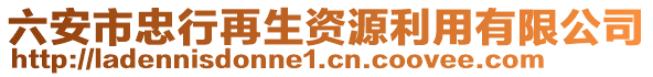 六安市忠行再生資源利用有限公司