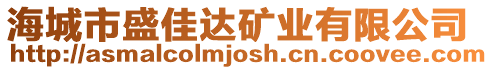 海城市盛佳達(dá)礦業(yè)有限公司