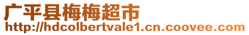 廣平縣梅梅超市