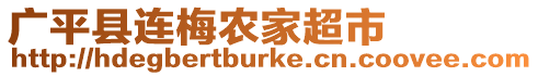 廣平縣連梅農家超市