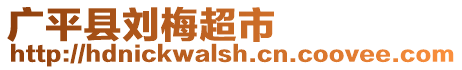 廣平縣劉梅超市