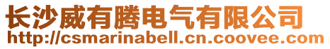 長沙威有騰電氣有限公司