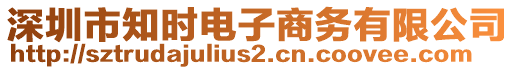 深圳市知時電子商務有限公司