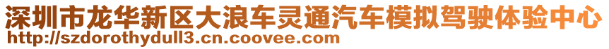 深圳市龍華新區(qū)大浪車(chē)靈通汽車(chē)模擬駕駛體驗(yàn)中心