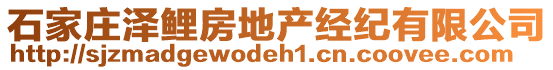 石家莊澤鯉房地產(chǎn)經(jīng)紀(jì)有限公司