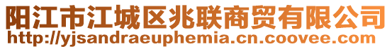 陽江市江城區兆聯商貿有限公司