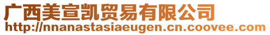 廣西美宣凱貿(mào)易有限公司