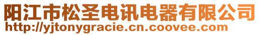 陽江市松圣電訊電器有限公司