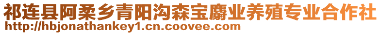 祁連縣阿柔鄉(xiāng)青陽溝森寶麝業(yè)養(yǎng)殖專業(yè)合作社