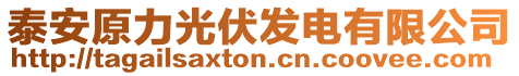 泰安原力光伏發電有限公司