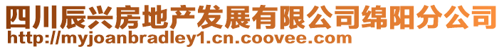 四川辰興房地產(chǎn)發(fā)展有限公司綿陽(yáng)分公司