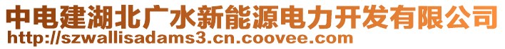 中電建湖北廣水新能源電力開發(fā)有限公司