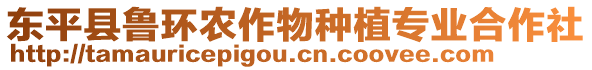 東平縣魯環(huán)農作物種植專業(yè)合作社