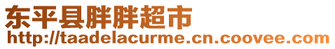 東平縣胖胖超市