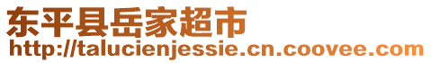 東平縣岳家超市
