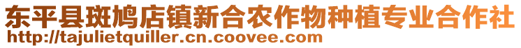 东平县斑鸠店镇新合农作物种植专业合作社