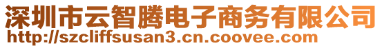 深圳市云智騰電子商務有限公司