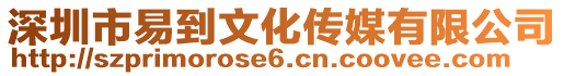 深圳市易到文化传媒有限公司