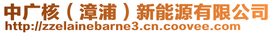 中廣核(漳浦)新能源有限公司
